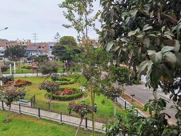 place photo 29
