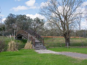 place photo 61