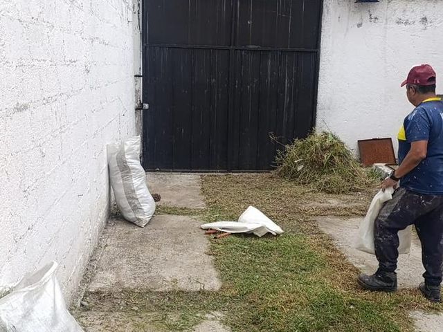 place photo 43