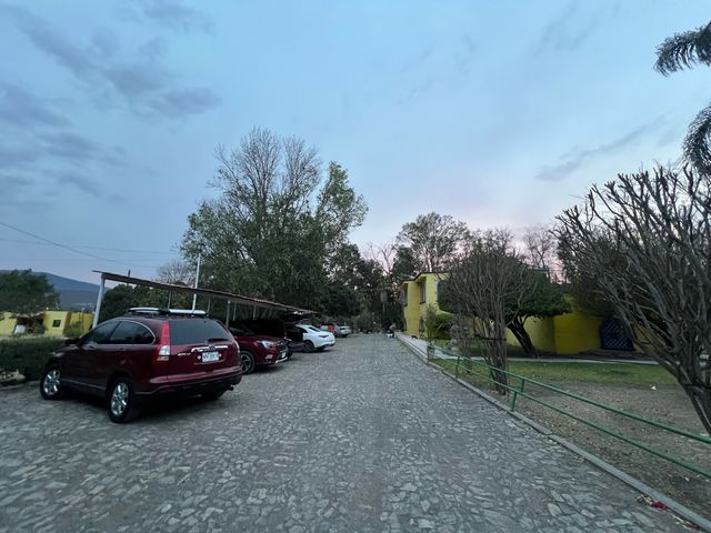 place photo 23