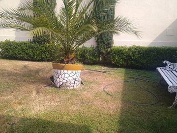 place photo 96
