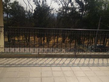 place photo 59