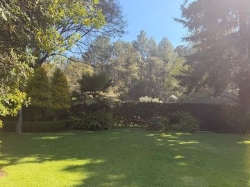 place photo 39