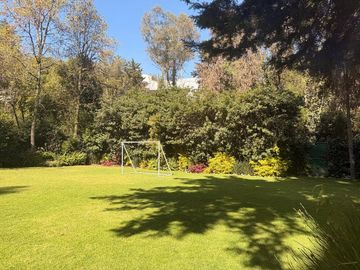 place photo 38