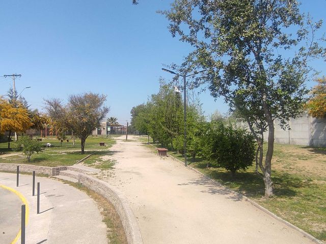 place photo 18