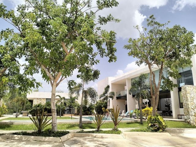 place photo 33