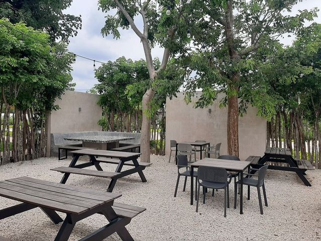 place photo 35