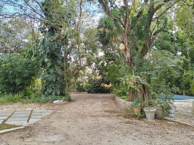 place photo 29