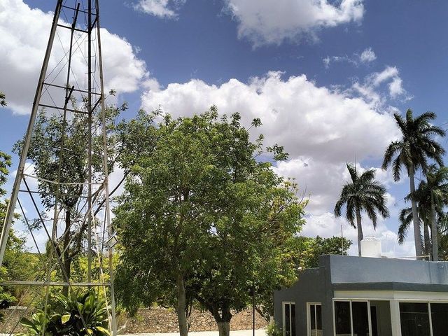 place photo 35