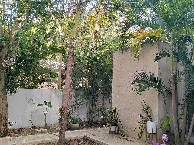 place photo 32