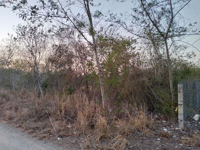 place photo 4