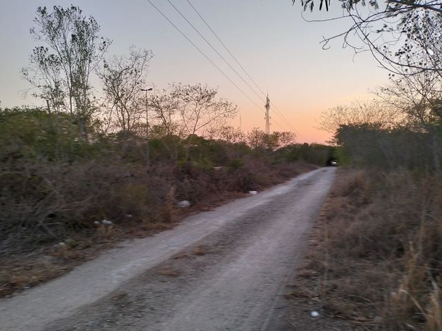 place photo 6