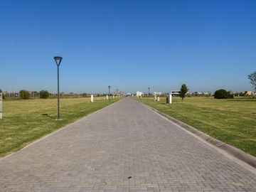 place photo 37