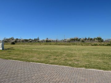 place photo 39