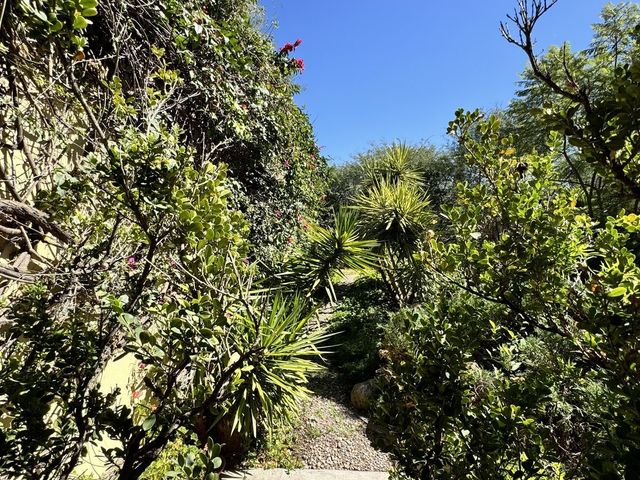 place photo 33
