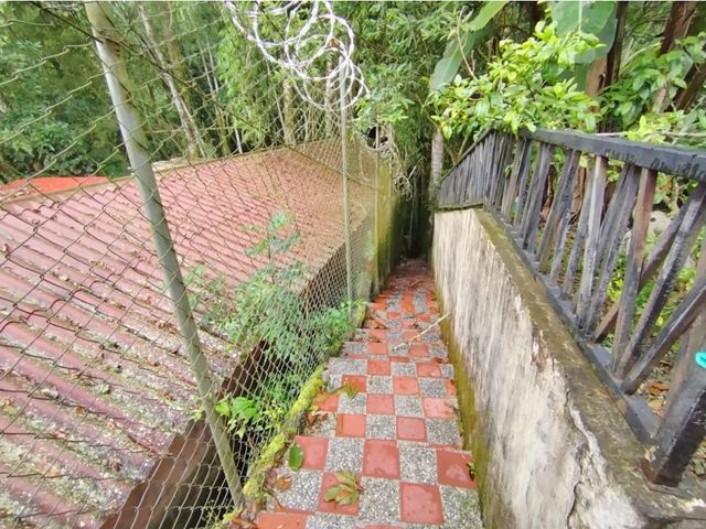 place photo 55