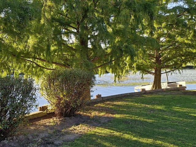place photo 36