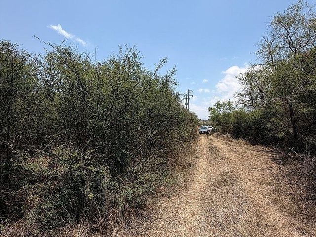 place photo 7