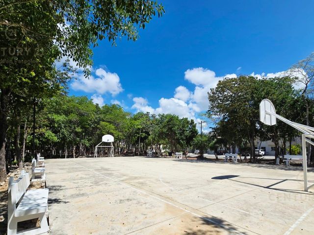 place photo 20