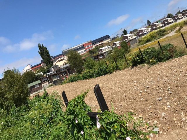 place photo 5