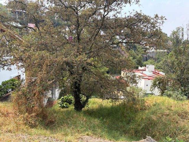 place photo 18