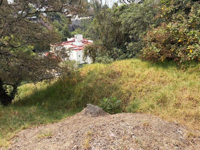 place photo 25