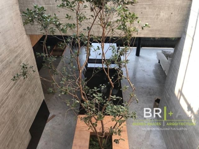 place photo 32