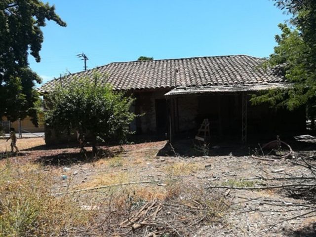place photo 23