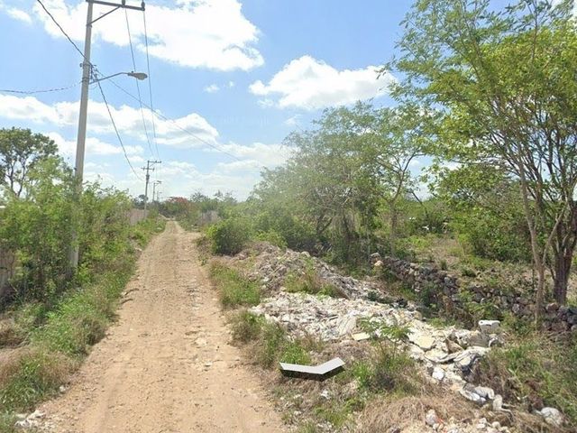 place photo 9