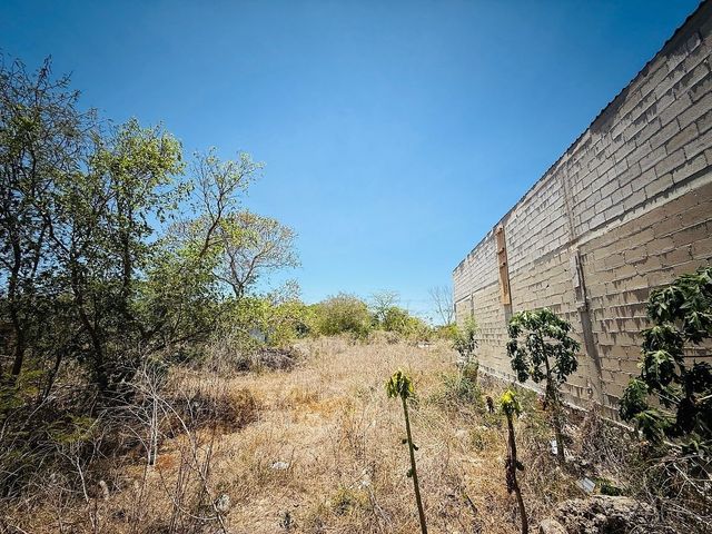 place photo 14