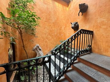 place photo 29
