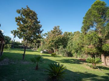 place photo 21