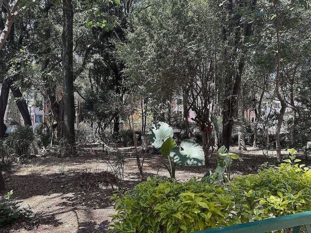 place photo 14