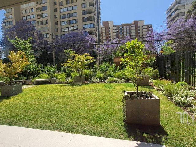 place photo 45