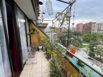 place photo 32