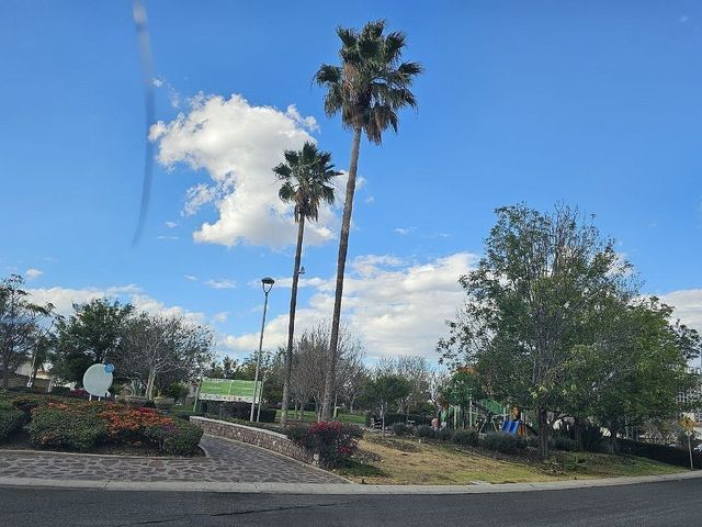 place photo 19