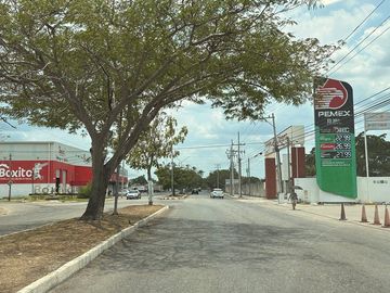 place photo 6