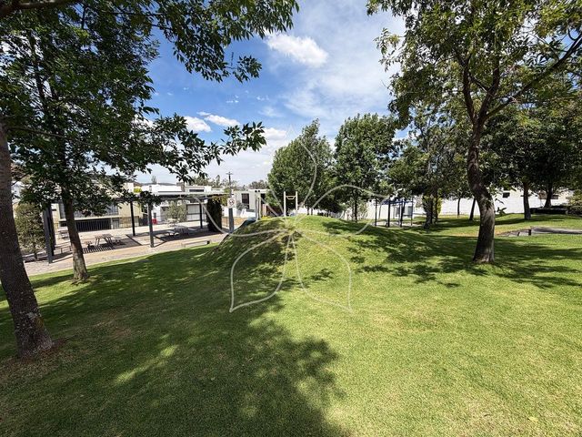 place photo 40
