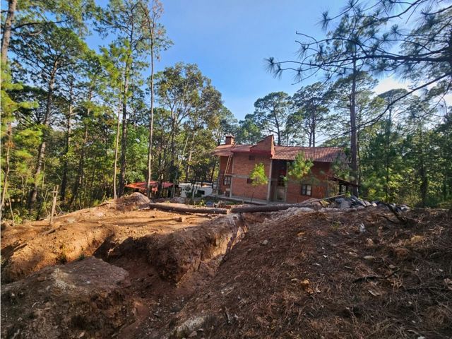 place photo 32