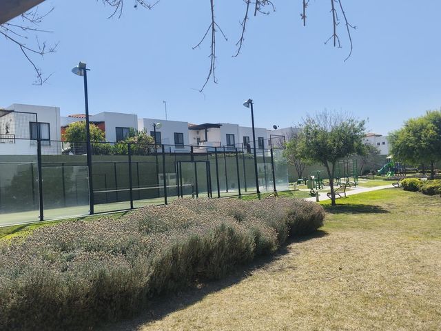 place photo 36