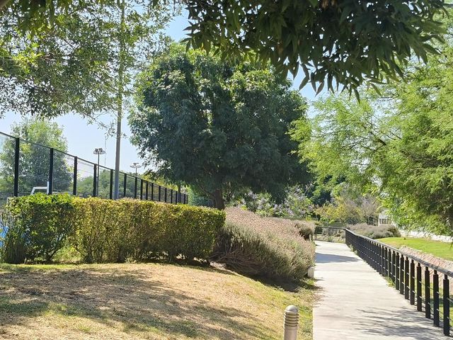 place photo 38