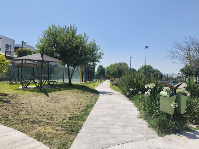 place photo 39