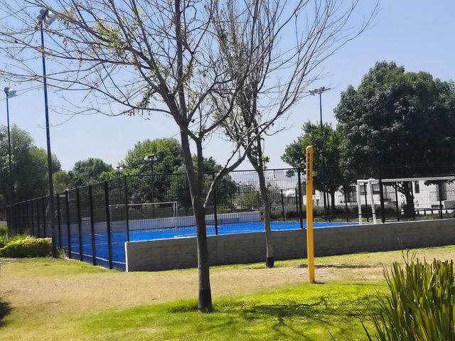 place photo 33