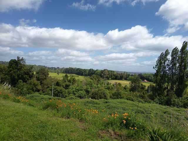 place photo 22