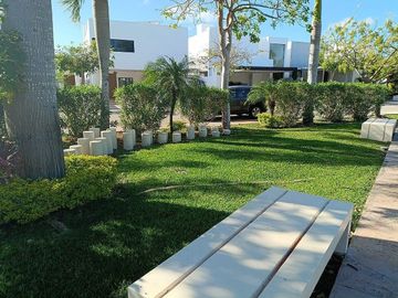 place photo 26