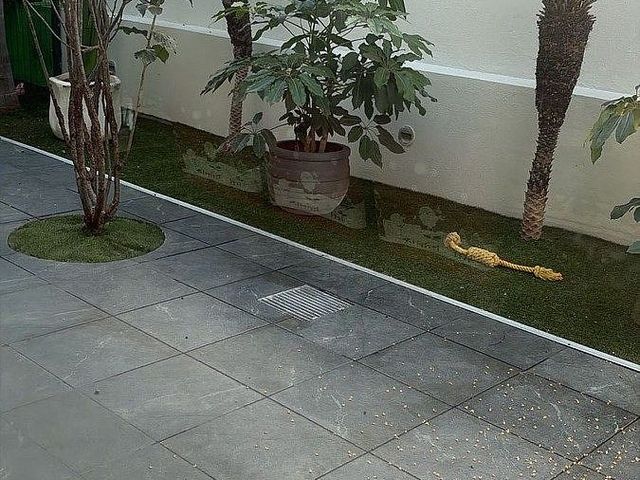 place photo 32