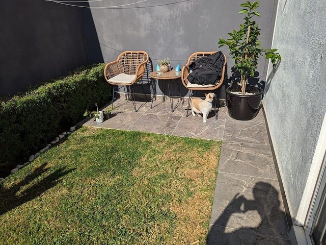 place photo 13