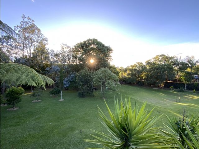 place photo 38