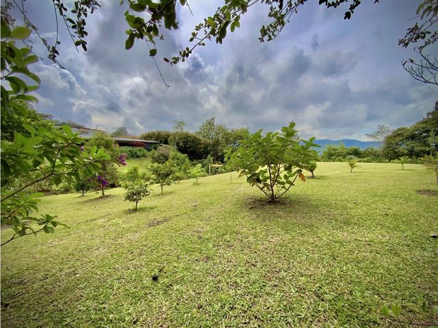 place photo 44
