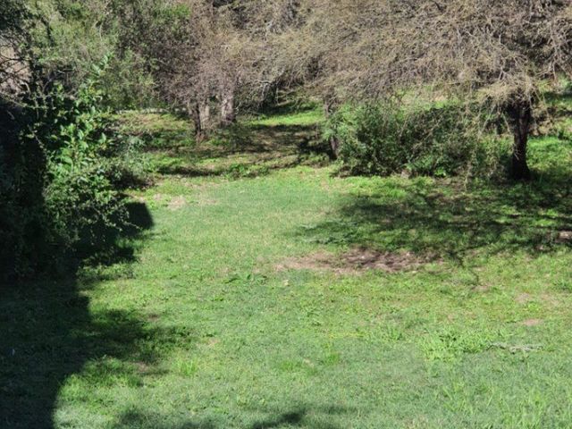 place photo 65